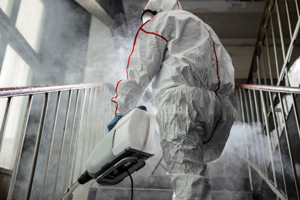 Best Mold Remediation for Healthcare Facilities  in Cattaraugus, NY